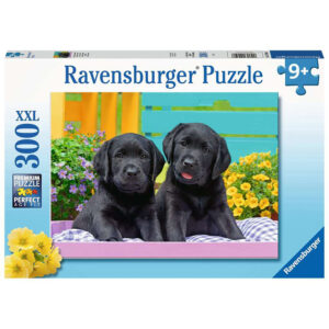 PUZZLE CATELUSI