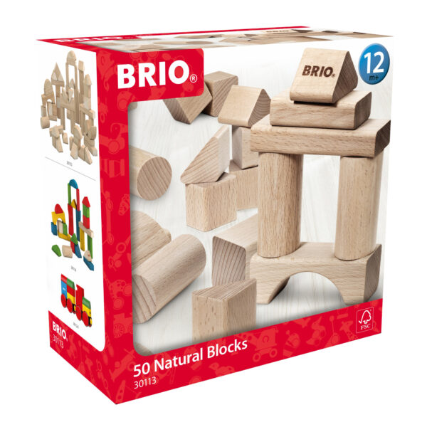 SET BLOCURI DIN LEMN 50 PIESE - BRIO30113