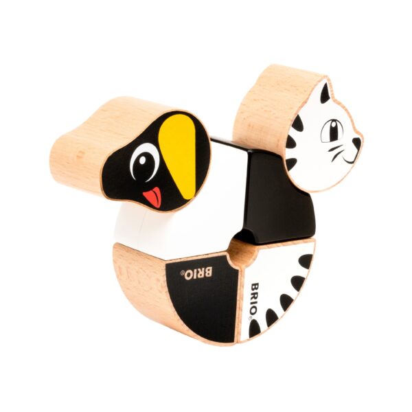 CATELUS SI PISICUTA MAGNETICI - BRIO30269