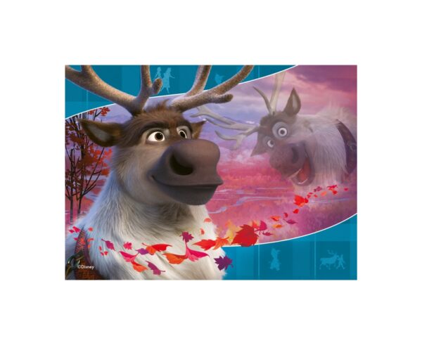 PUZZLE FROZEN II, 12/16/20/24 PIESE - RVSPC03019