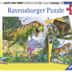 PUZZLE CONDUCATORI PRIMITIVI