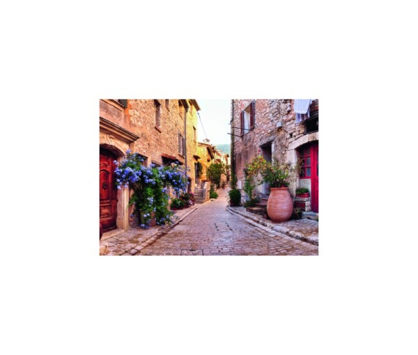 PUZZLE FRANTA MEDITERANEANA