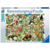PUZZLE JUNGLA
