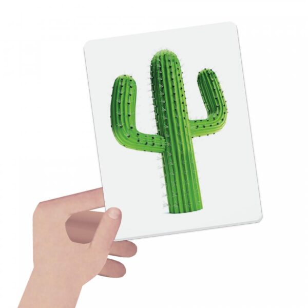 MU27859-JPG-3 MONTESSORI - CARTONASE SA INVATAM CULORILE - HE27859