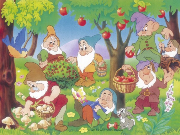 PUZZLE PALACE PETS 2x24 PIESE - RVSPC08952