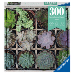 PUZZLE PLANTE SUCULENTE