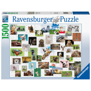 PUZZLE COLAJ CU ANIMALE