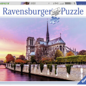 PUZZLE PICTURA NOTRE DAME