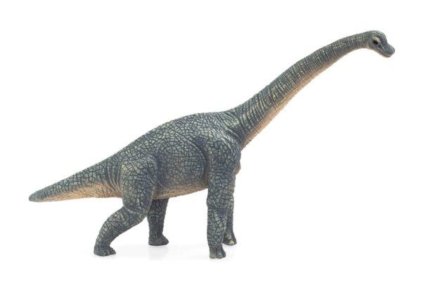 387044_BRACHIOSAURUS1 Set 5 Figurine XL Animale Preistorice - MJ003