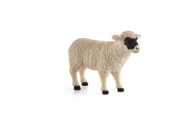 387058_BLACK_FACED_SHEEP_EWE Figurina Oaie Cu Pete Negre (Ewe)