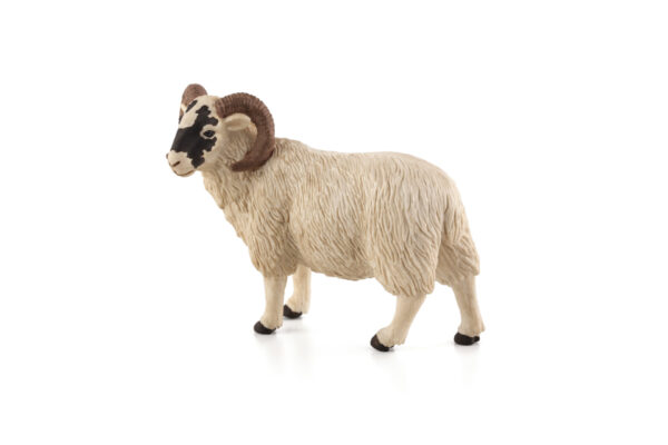 Figurina Oaie Cu Pete Negre (Ram)