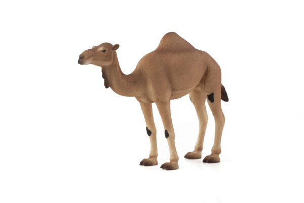387113_ARABIAN_CAMEL Figurina Camila
