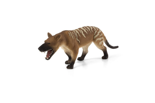 Figurina Hyaenodon