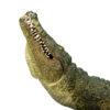 Figurina Crocodil - MJ387162