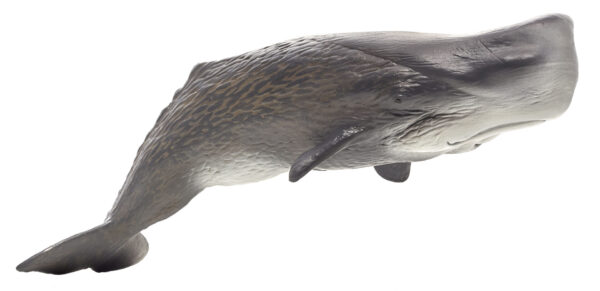 387210_Sperm_Whale Figurina Casalot