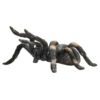 387213_Red_Kneed_Tarantula_2 Figurina Tarantula