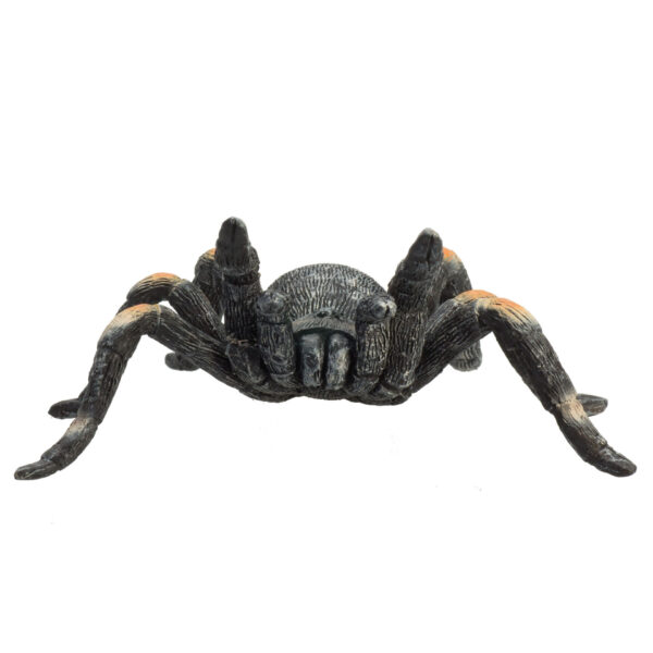 387213_Red_Kneed_Tarantula_3 Figurina Tarantula - MJ387213