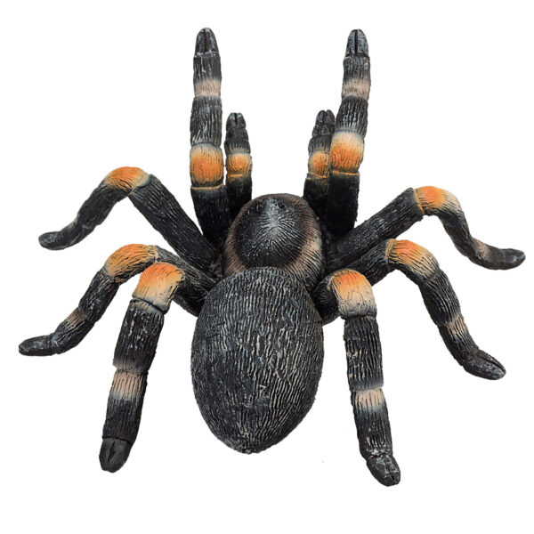 387213_Red_Kneed_Tarantula_4 Figurina Tarantula - MJ387213