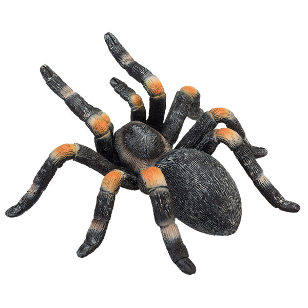 387213_Red_Kneed_Tarantula_5 Figurina Tarantula - MJ387213