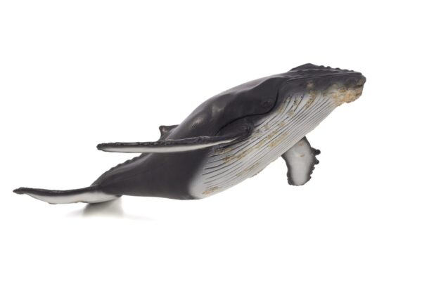 Figurina Balena cu cocoasa