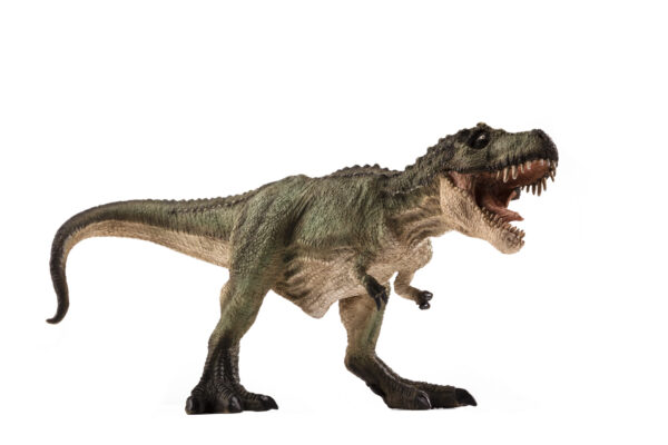 387293_TREX_HUNTING_GREEN Figurina Tiranozaurul Rex - Verde