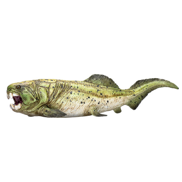 387374_Dunkleosteus_2 Figurina Dunkleosteus - MJ387374