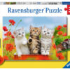 Puzzle Aventura Pisicutelor