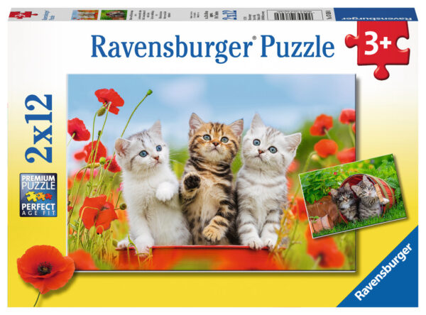 Puzzle Aventura Pisicutelor