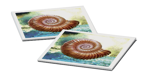 JOC MEMORIE DINOZAURI - RVSG22099