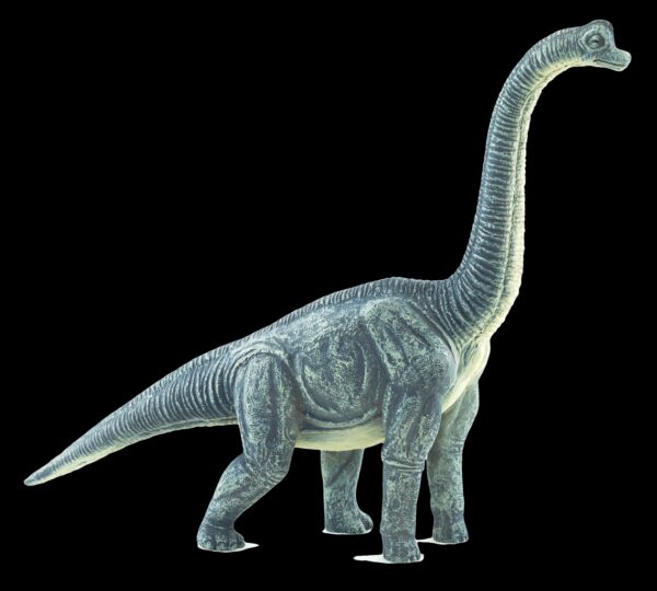 produs_1460992697 Figurina Brachiosaurus