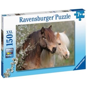 PUZZLE PONEI