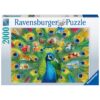 PUZZLE PAUN