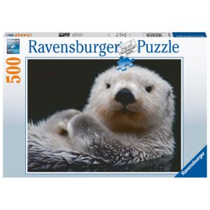 PUZZLE VIDRA