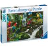 PUZZLE PAPAGALI IN JUNGLA, 2000 PIESE - RVSPA17111