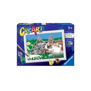 CREART - PICTURA PISICUTA SI IEPURAS