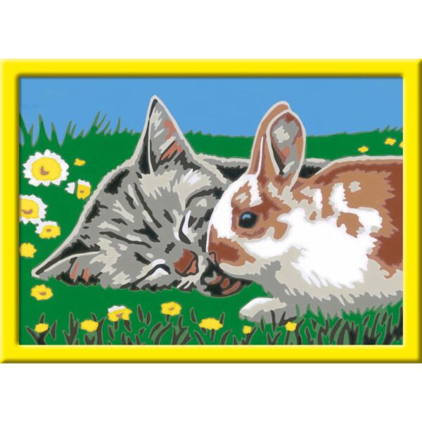 CREART - PICTURA PISICUTA SI IEPURAS - RVSPBN20074