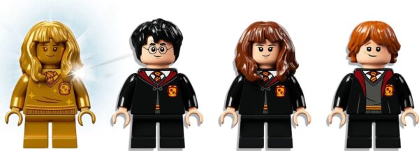 Lego Harry Potter 76387 - Castelul Hogwarts, Intalnirea cu Fluffy