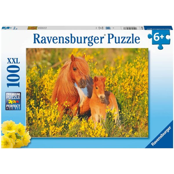 Puzzle Ponei, 100 Piese - RVSPC13283
