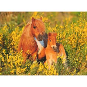Puzzle Ponei, 100 Piese - RVSPC13283