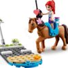 Lego Friends 41446 – Clinica veterinara din Heartlake