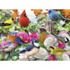 Puzzle Pasari, 500 Piese - RVSPA14223