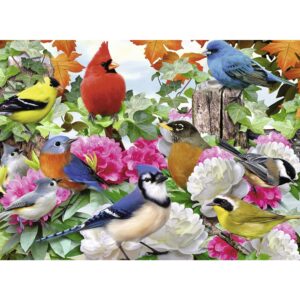 Puzzle Pasari, 500 Piese - RVSPA14223