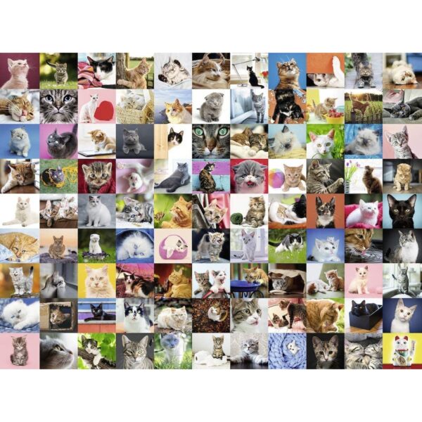 Puzzle 99 De Pisici, 1500 Piese - RVSPA16235