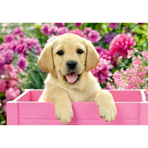 Puzzle Catelusi, 2X24 Piese - RVSPC05029