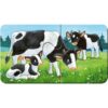 Puzzle Familii De Animale, 9X2 Piese - RVSPC05072