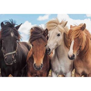 Puzzle Cai, 2X24 Piese - RVSPC05148