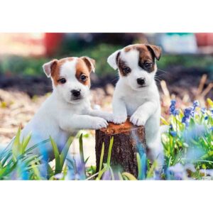 Puzzle Catelusi, 2X12 Piese - RVSPC05636