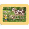 Puzzle Animale De La Ferma, 3X6 Piese - RVSPC05679