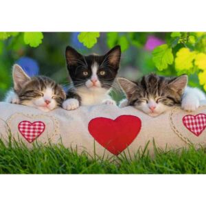 Puzzle Pisicute Somnoroase, 2X24 Piese - RVSPC07801