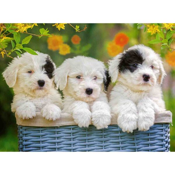 Puzzle Catelusi, 200 Piese - RVSPC12765